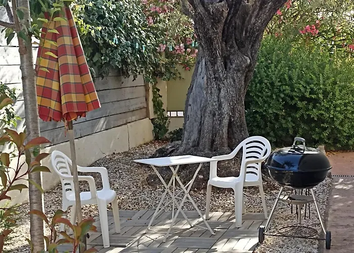 Le Gite Des Palmiers
