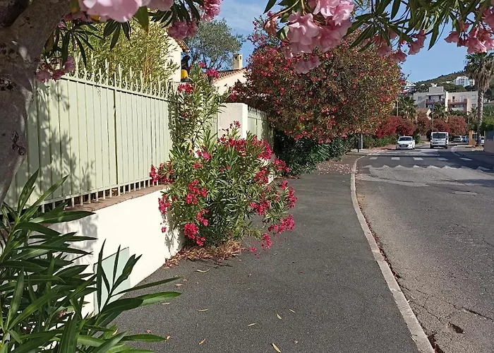 Le Gite Des Palmiers