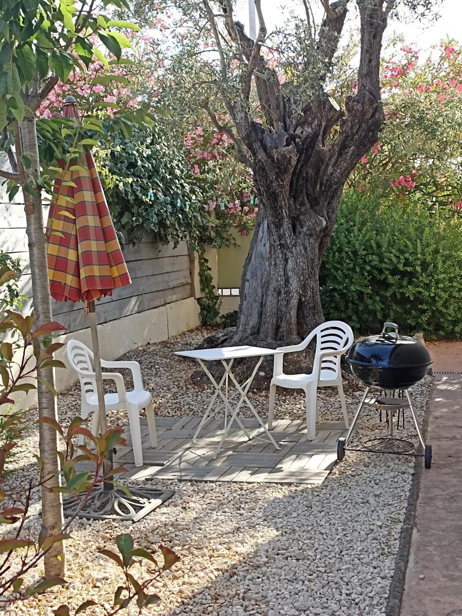 Le Des Palmiers Apartment *